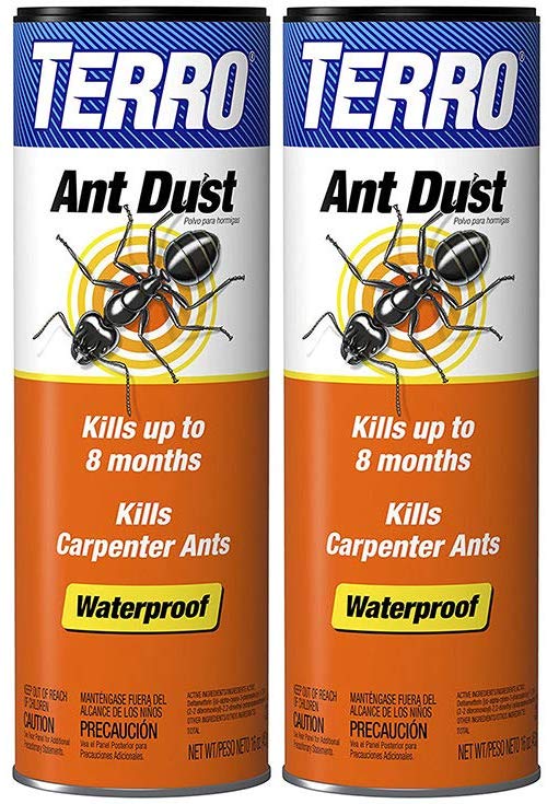 Best Spray For Carpenter Ants The Pest Advice