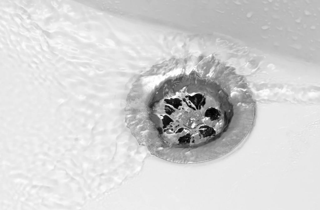 Pest Risks Caused by Leaking Pipes